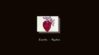 Camila - Perdón Slowed