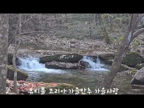 #가을사랑 #가을사랑