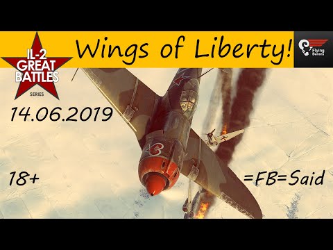 IL-2 Sturmovik: Wings of Liberty