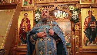 Проповедь в праздник Введения во Храм Пресвятой Богородицы, о. Вячеслав Горобец, 04.12.2019