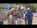 A Vital Tool for Saving Endangered Species