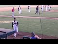 Brawl