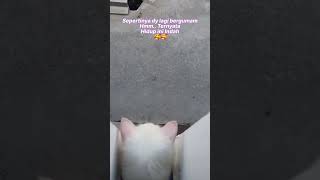 Ke Kepoan Yg Hakiki