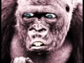 DIVERTENTE GORILLA PARLANTE IN BARESE BY PAPAGNI SALVATORE