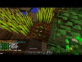 Wildcards Info & Roleplay!: Minecraft Legend #16 - Rise of the Phoenix