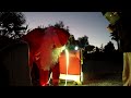 VirtualMakerLuca