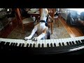Funny dogs want's this piano