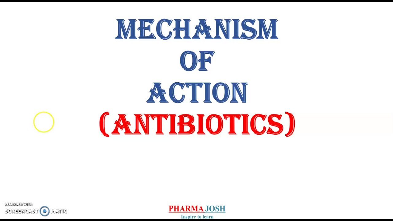 Vancomycin tissue penetration