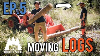 Ep. 5 Fort Bulding: Return to the Fort In The Woods | Too many logs to move