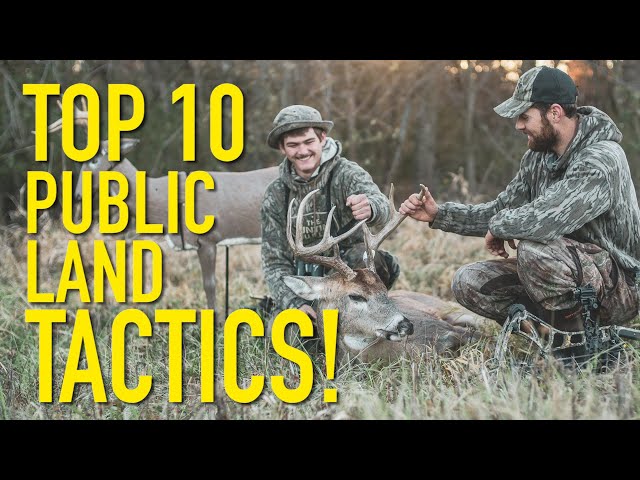 Watch Our TOP 10 PUBLIC LAND Tactics for Whitetails! on YouTube.