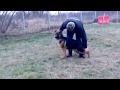 И снова готовимся к выставке. 5 месяцев.