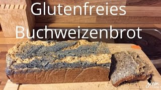 chia verdauung