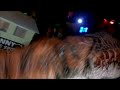 Kojo goes to the Night Club!