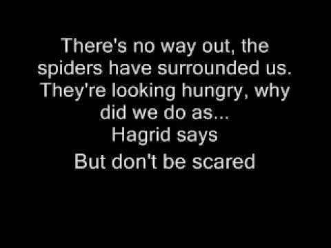 Follow The Spiders Video