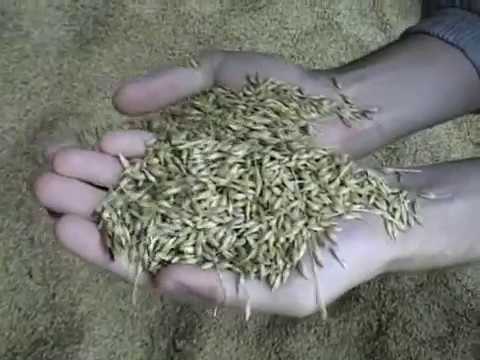 Транспортер шнековый своими руками Транспортер шнековый своими руками