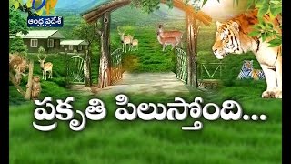 ప్రకృతిపర్యాటకంతో ఆహ్వానిస్తున్న నల్లమల అందాలు | Idi Sangathi