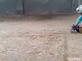 tractor tochan in new punjabi style 2017 3 tractor tochan in new punjabi style 2017 3