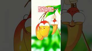 Why Your Mango Has A Tiny Seed