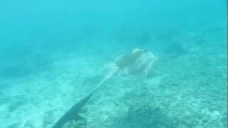 Maldives 2012 - 16