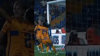 BG9L5vkZKf8 Video Image