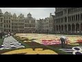 Brüsszel: 1800 négyzetméteres japán virágszőnyeg