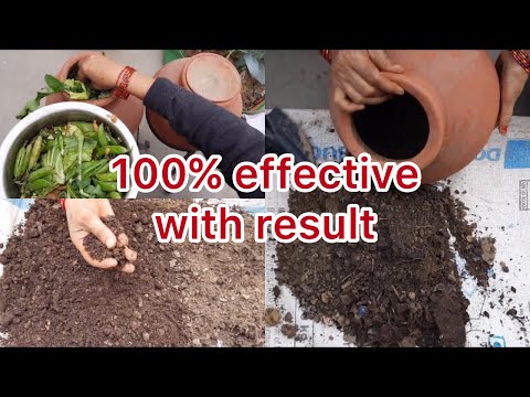 घड़े में kitchen waste से compost बनाने का आसान तरीक़ा || How to make compost from kitchen waste