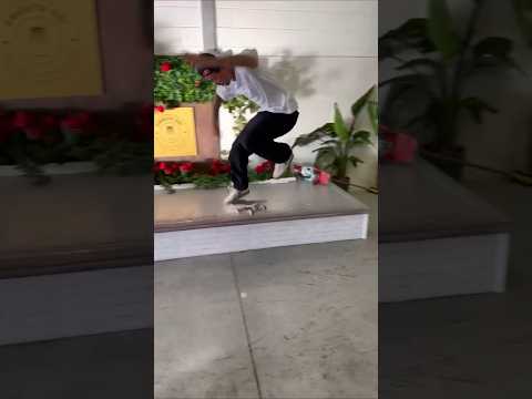 Gustavo Ribeiro 360 Flip Crook On A Mini Board