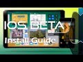 Velonzy iOS 11 Beta install guide