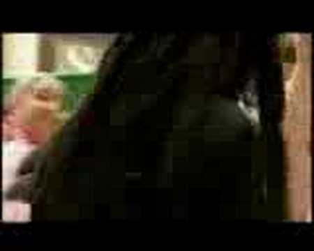 Sweet Micky Kanaval 2007