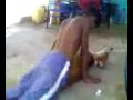 Coje perro roger