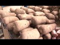 Alimentation Afrique unit pour la securite alimentaire