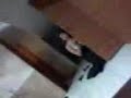 Y Ganti Baju images Y Ganti Baju