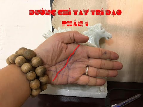 Đường trí đạo trong lòng bàn tay (phần 1)| xem chỉ tay