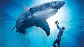 Katil köpek Balığı Filmi korku Gerilim | Türkçe Dublaj İzle