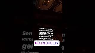 Araba Snepleri
