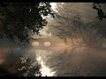 Morning Mist by Brian Crain