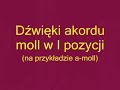 Kurs gry na gitarze elektrycznej - materiał do lekcji 5. Dwie pozycje pentatoniki moll i dur.