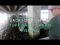 Tuff Sheepshead Fishing - Jacksonville, Fl