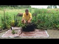 Kennebec Potato Grow Tub Harvest