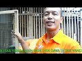 image Burung Kenari Super Bertelor 4 Butir