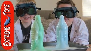 Mad Science! Gross Science kit toy for Kids. Mad Science! Gross Science kit toy for Kids.