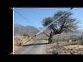El Camino Del Amor Video preview