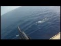 Somali Pirates Mess with the Wrong Ship