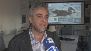 Microplástico Pequeños Fragmentos Para Un Gran Problema