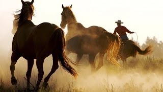 Watch Alan Jackson To Do What I Do video
