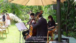 All of me | Piano Trio (Violin, cello + digital piano) | Felice Studio Live Band
