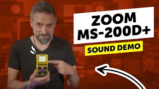 Zoom Ms-200D 200 Overdrives In One Pedal How Does It Sound?