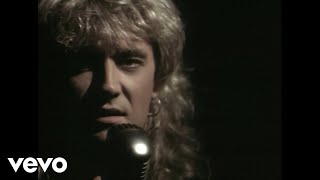 Watch Def Leppard Have You Ever Needed Someone So Bad video