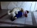 Video divertentissimi - Vecchietta "assalita" da un cane