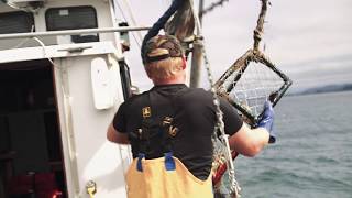 Life on the Water - Dungeness Crab Fishing